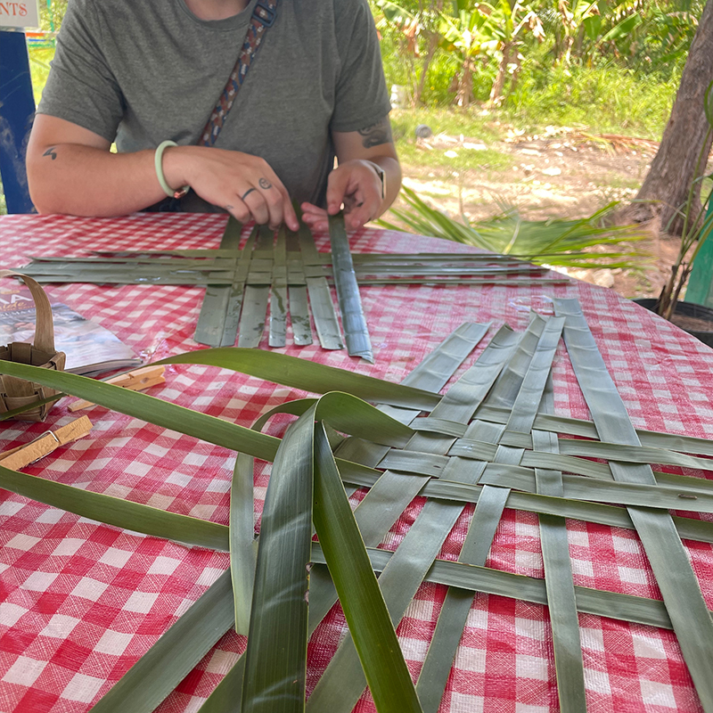 Coconut Farm Tour - Image 5